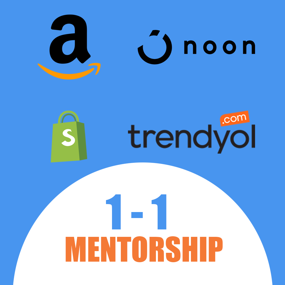 1-to-1 Mentorship